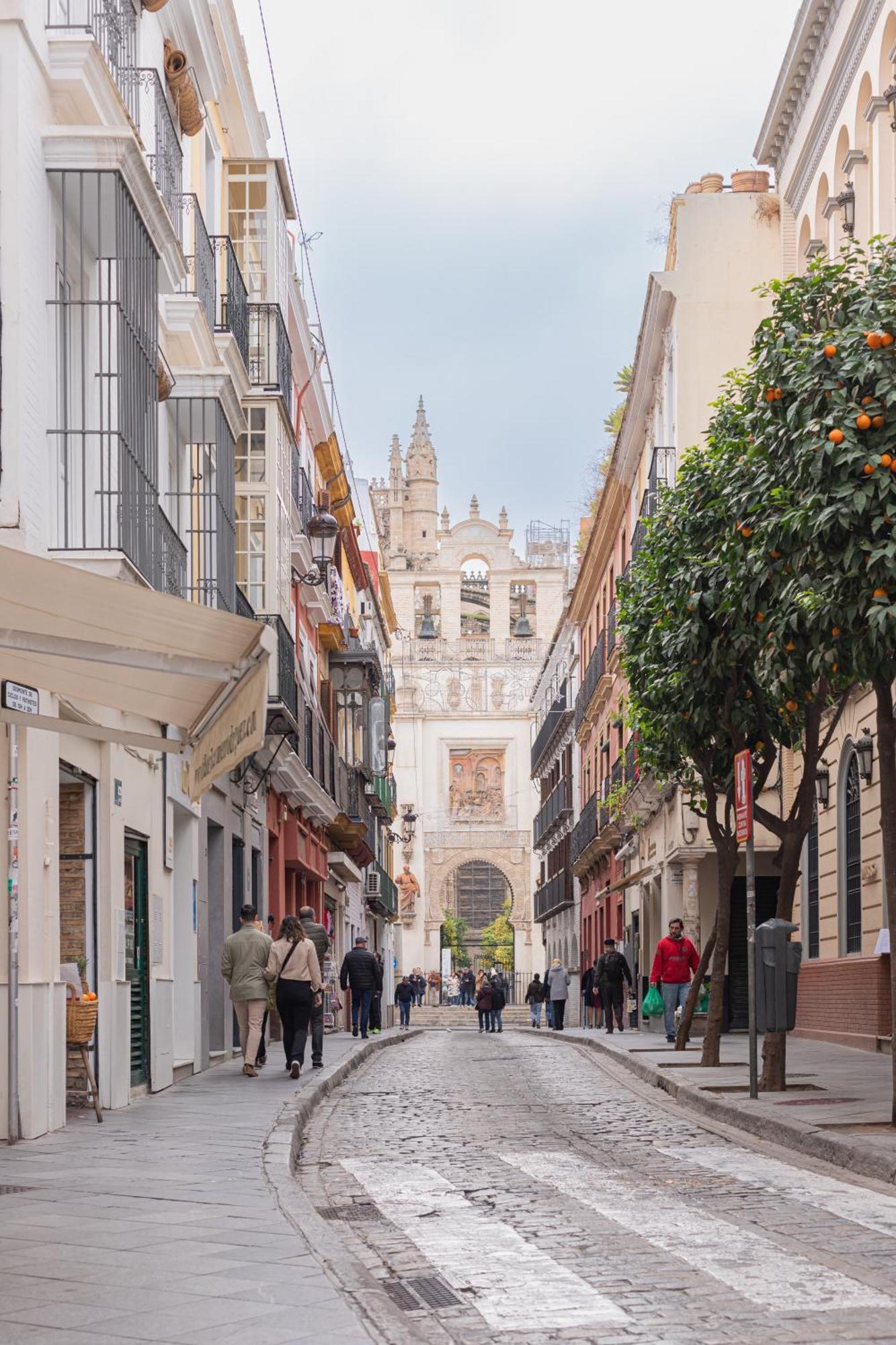 Lujoso Apartamento En Casco Antiguo De Sevilla Εξωτερικό φωτογραφία
